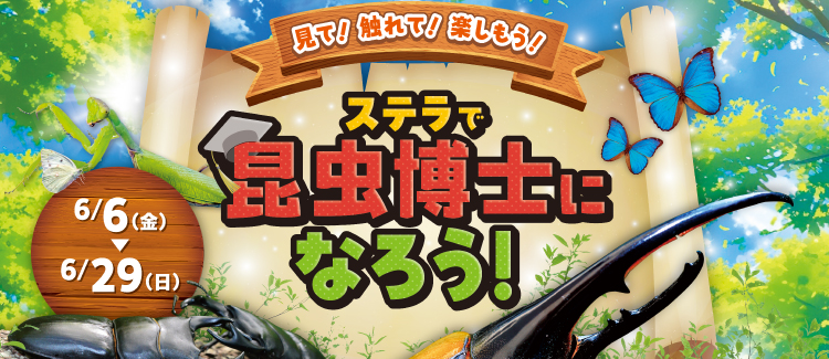 昆虫イベント　250528-0629