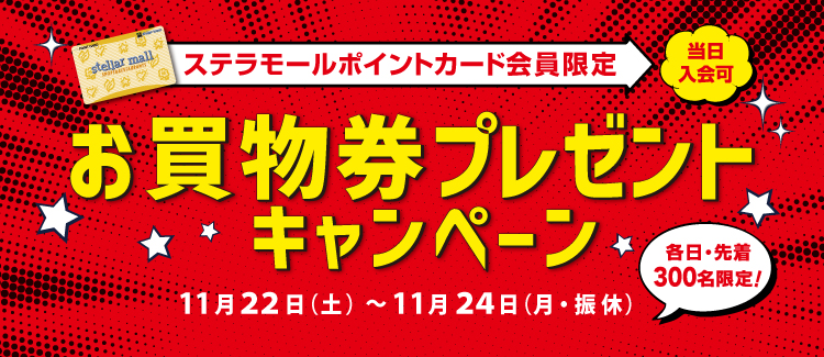 お買物券プレゼントキャンペーン 251121-1124