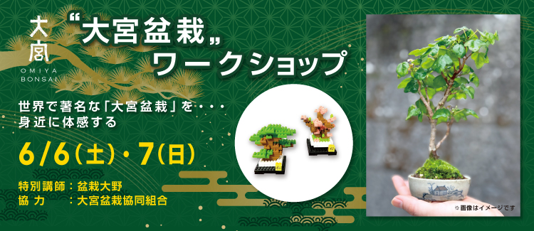 盆栽ワークショップ　260601-0607